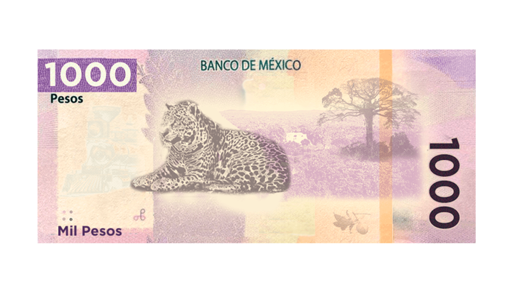 Jaguar, Calakmul y Antigua Ciudad Maya en el nuevo billete de&nbsp;$1000