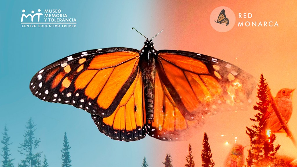 Documental ‘Más allá de la mariposa monarca’ ENTRADA&nbsp;GRATUITA
