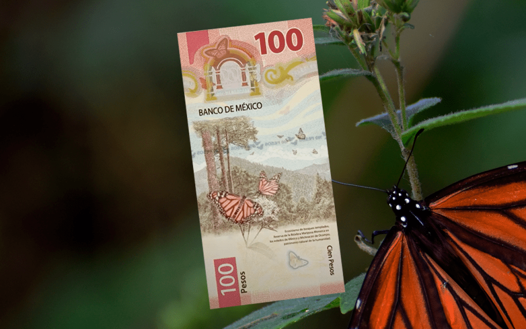 Este es el nuevo billete de $100 MXN: Reserva de la Mariposa Monarca y Sor Juana Inés de la&nbsp;Cruz