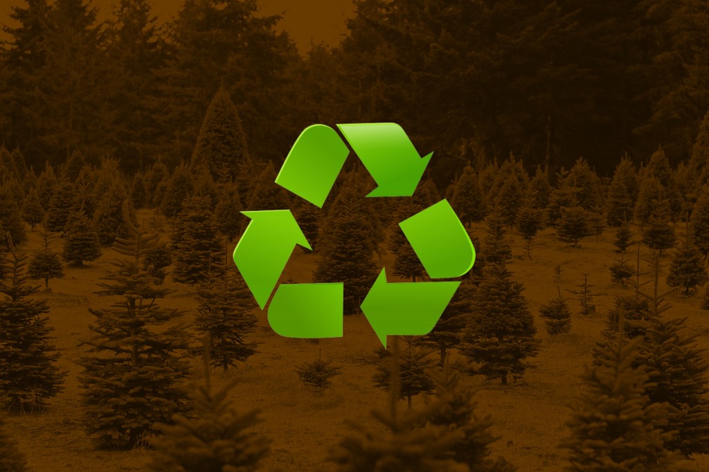 #NoLoTires Aquí te decimos dónde reciclar tu árbol de navidad&nbsp;natural