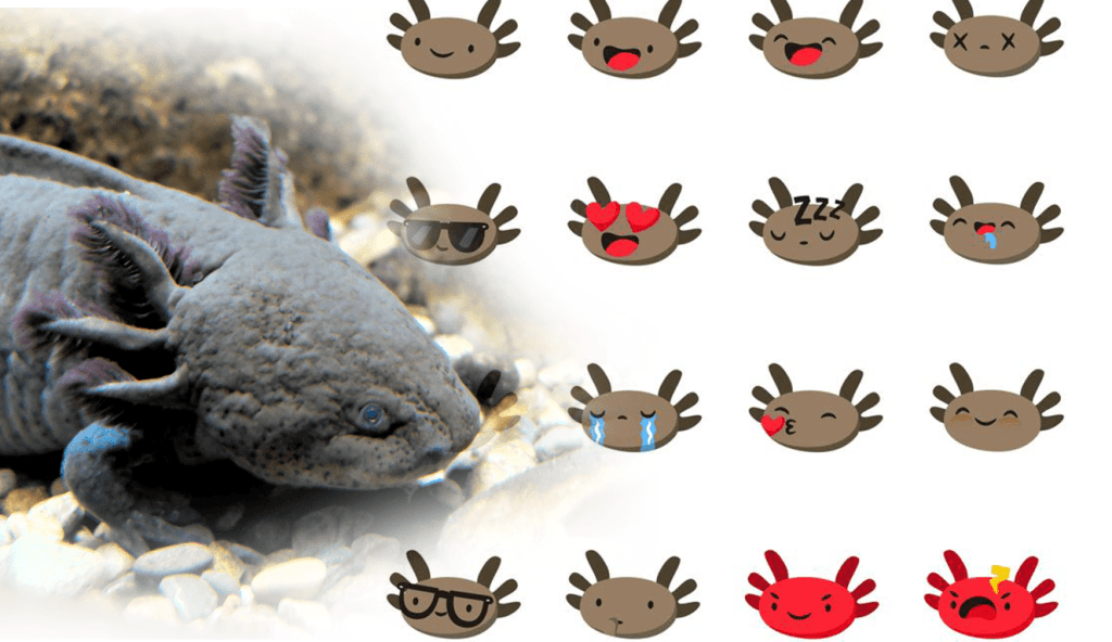 #DescargaGratis Stickers de&nbsp;Axolote