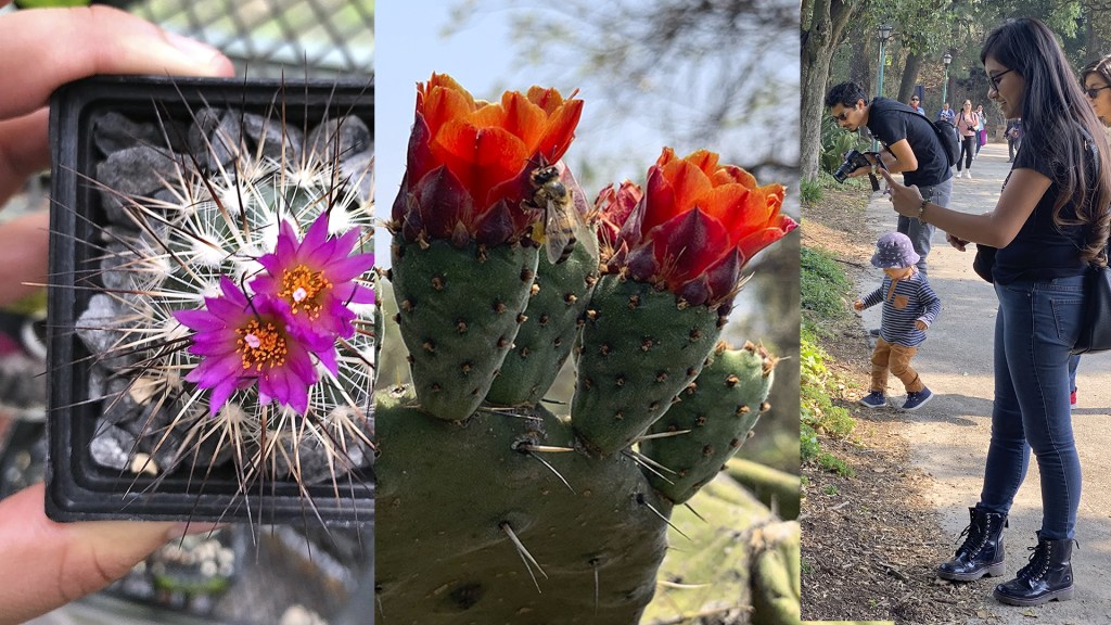 Reabre Jardín Botánico del&nbsp;IB-UNAM